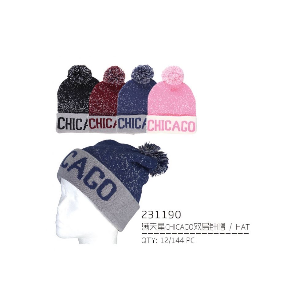 chicago winter hat