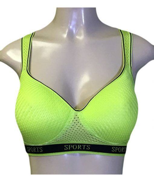 d cup sports bra