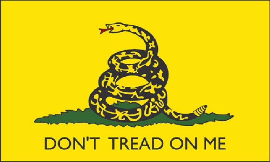 Don T Tread On Me State Flag New Hampshire