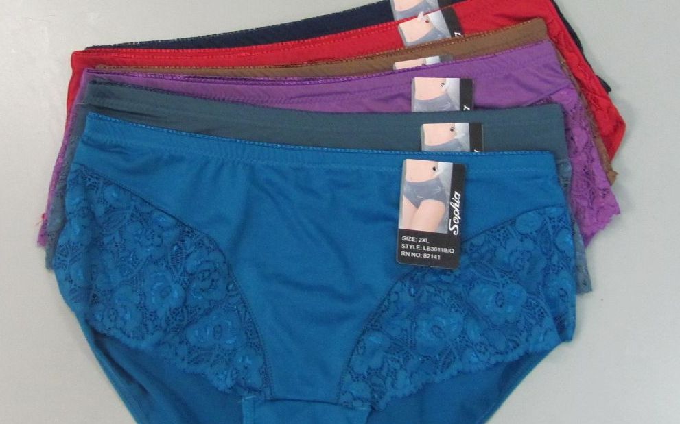 60 Units Of Mamas Nylon Briefs Womens Panties And Underwear At 